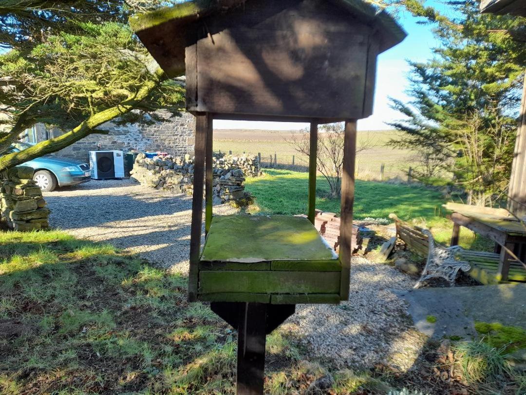 格兰纳里住宿加早餐旅馆 巴基 外观 照片